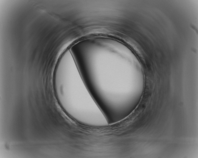 X0000096730791200802051128