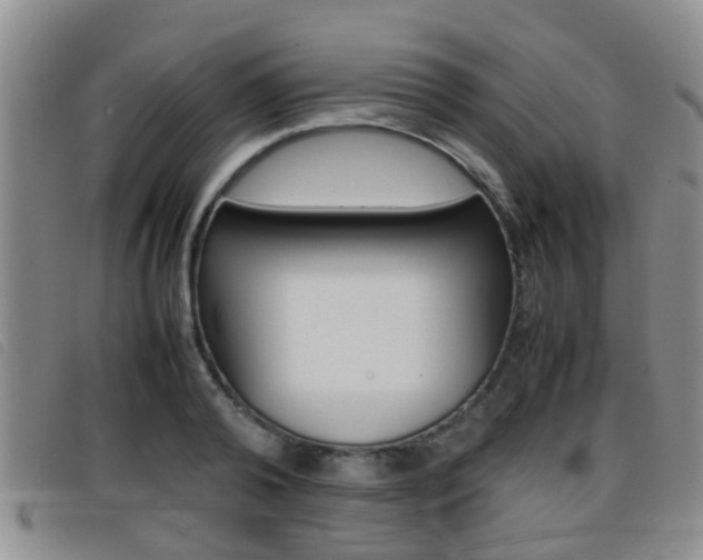 X0000096730792200802051128