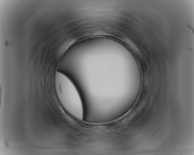 X0000096730793200802051128