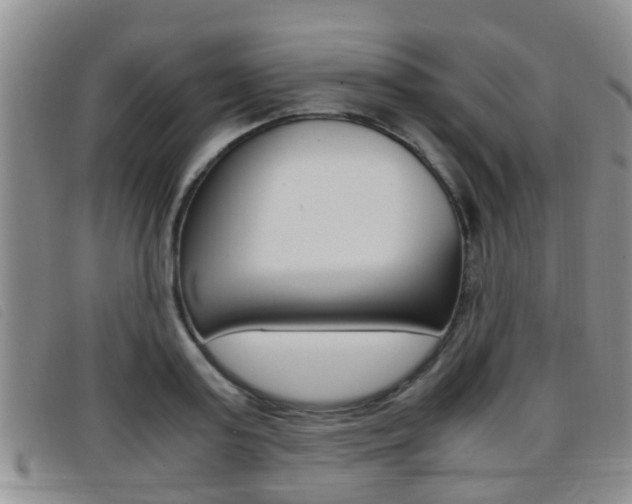 X0000096730795200802051128