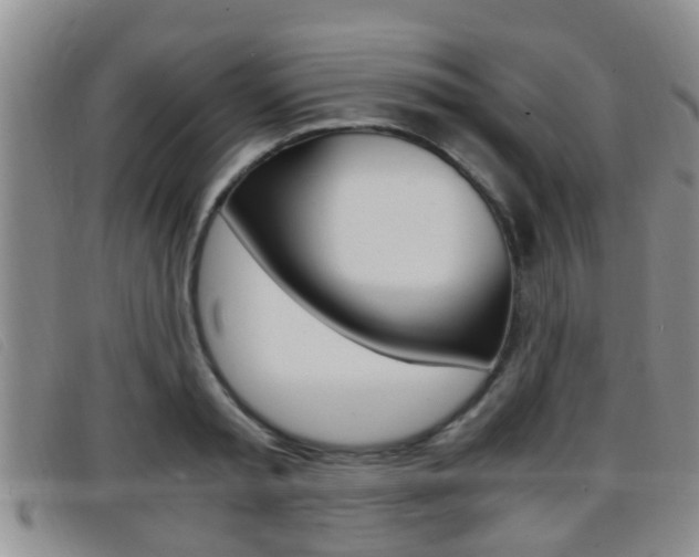 X0000096730797200802051127