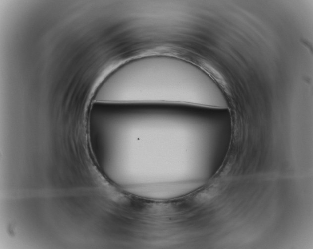 X0000096730800200802051127