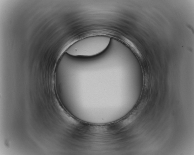 X0000096730802200802051127