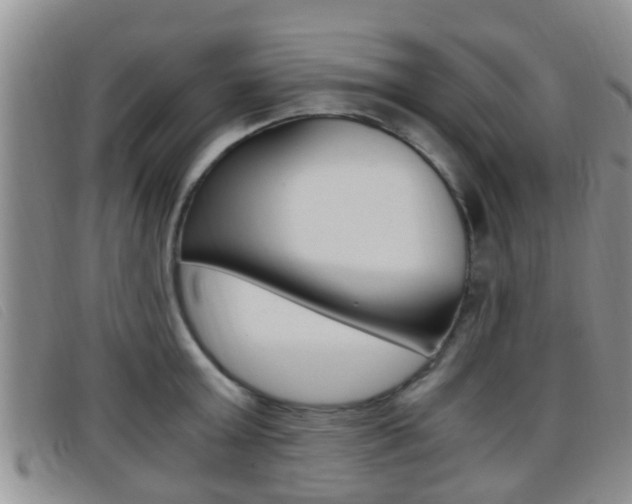 X0000096730803200802051127