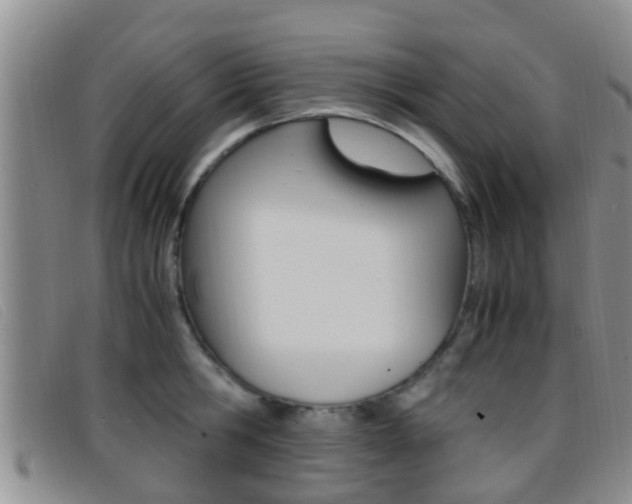 X0000096730806200802051127
