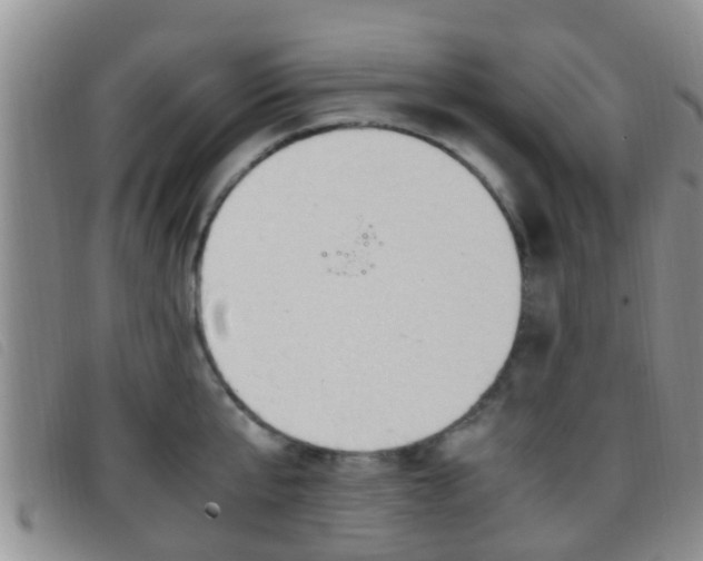 X0000096730807200802051127