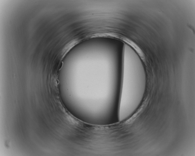 X0000096730809200802051127