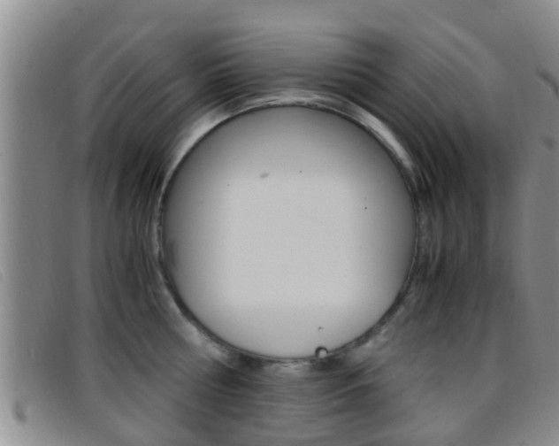 X0000096730810200802051127