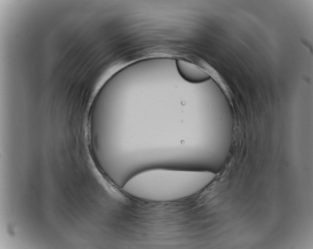 X0000096730811200802051127