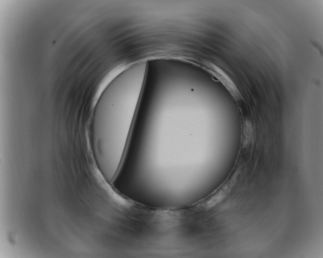 X0000096730812200802051127