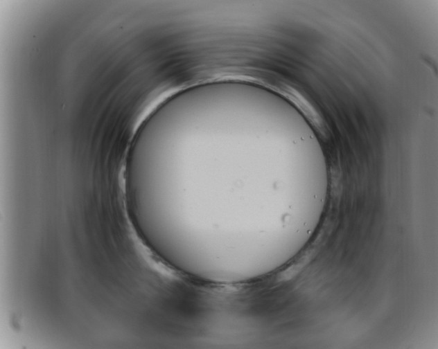 X0000096730814200802051127