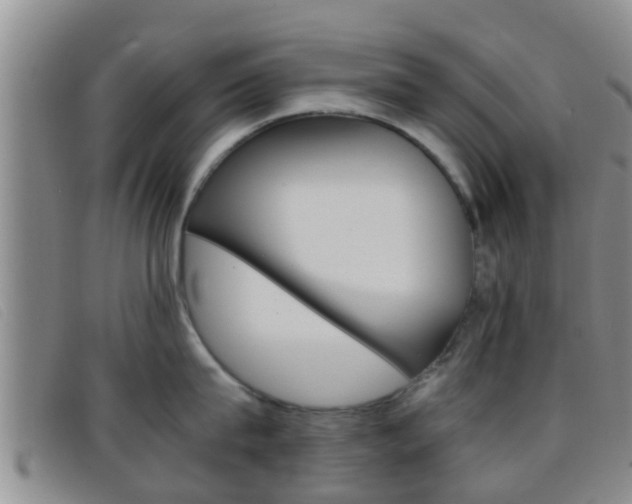 X0000096730815200802051127