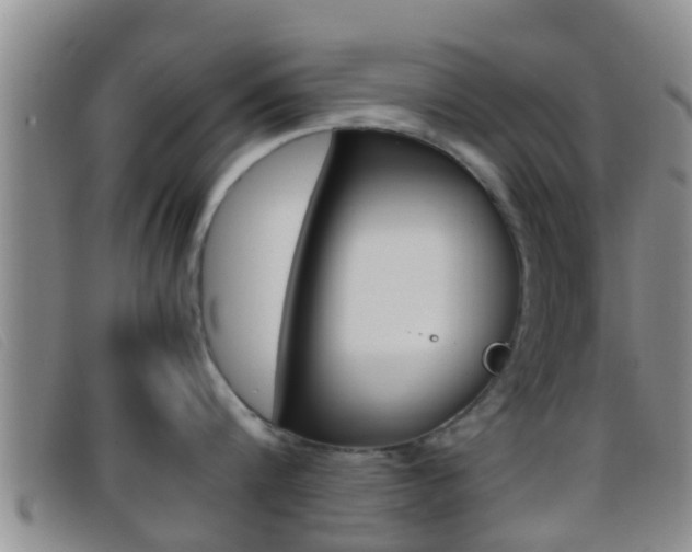 X0000096730816200802051127