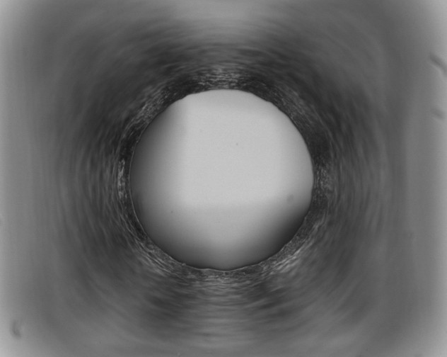 X0000096730818200802051126