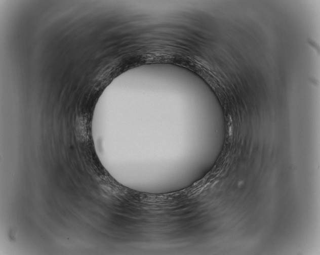 X0000096730819200802051126