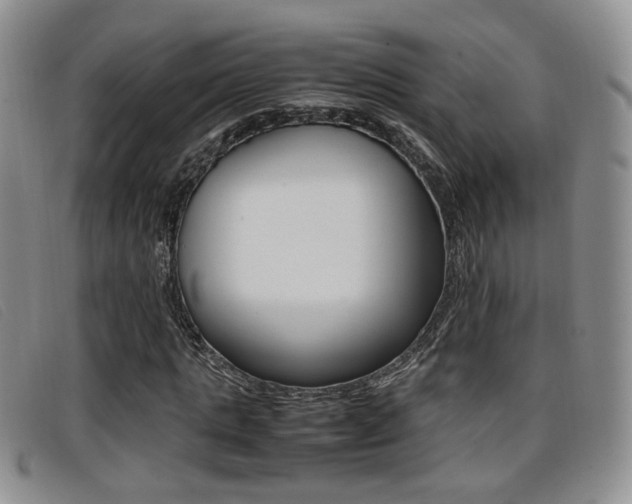X0000096730821200802051126