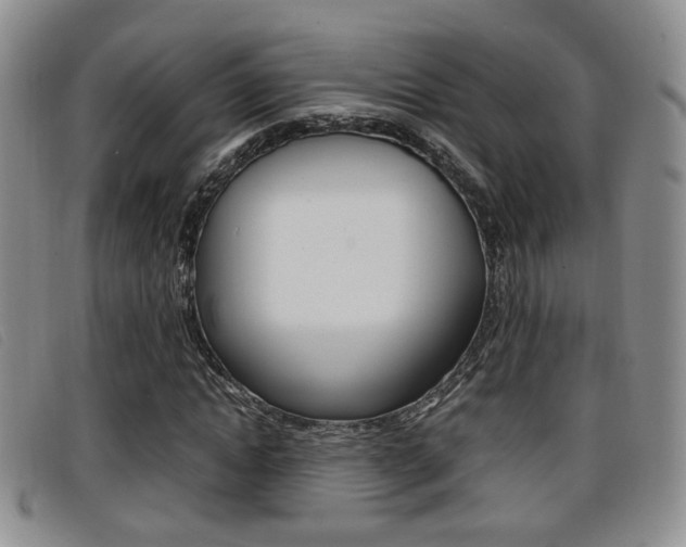 X0000096730822200802051126