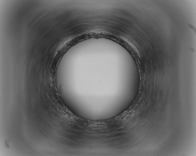 X0000096730823200802051126
