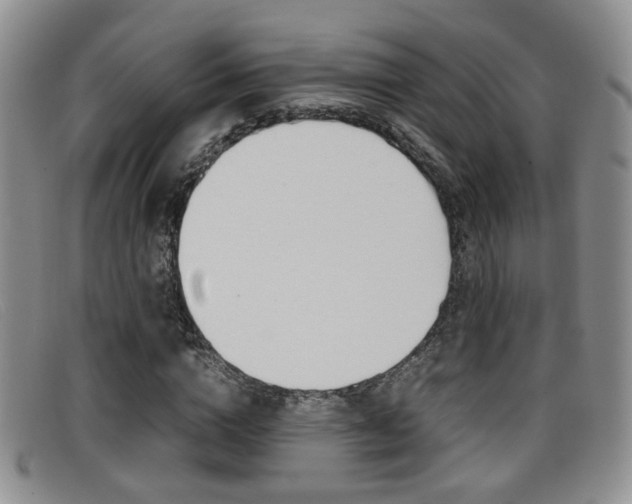 X0000096730824200802051126
