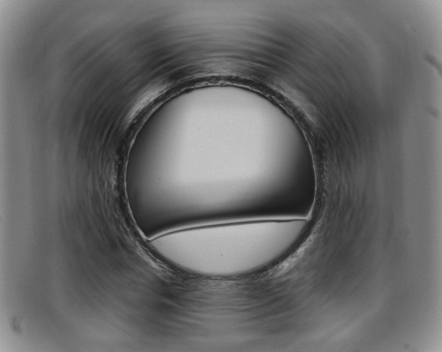 X0000096730826200802051127