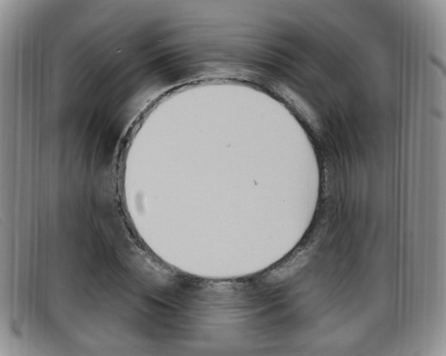 X0000096730828200802051127