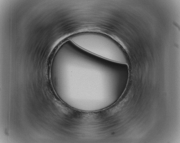 X0000096730830200802051127