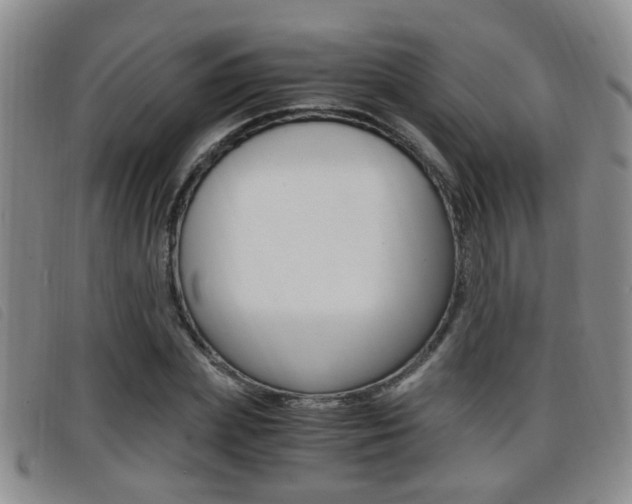 X0000096730831200802051127