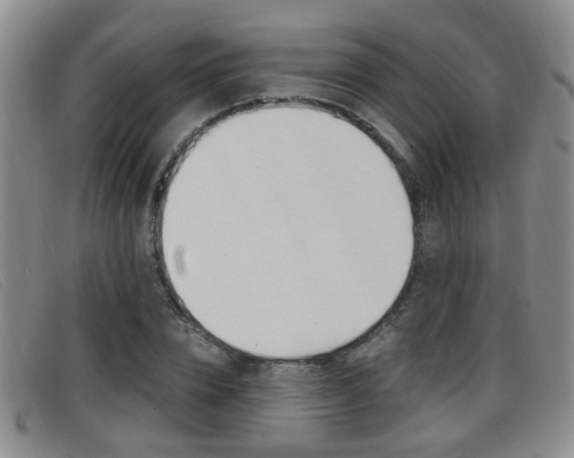 X0000096730832200802051127