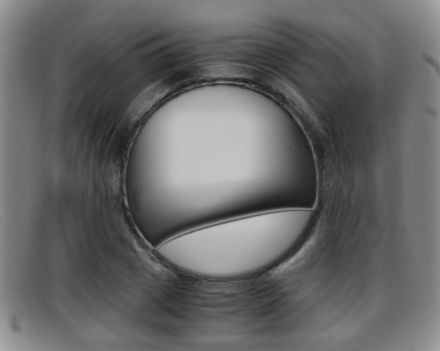 X0000096730833200802051127