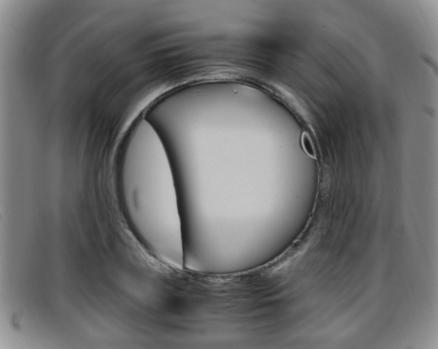 X0000096730835200802051127