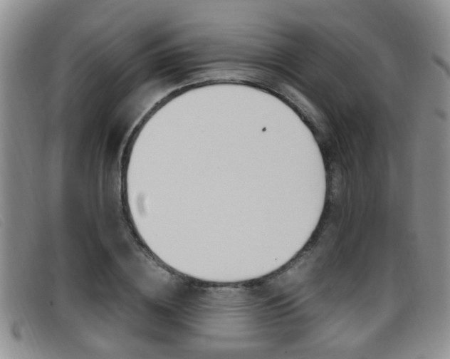 X0000096730836200802051127