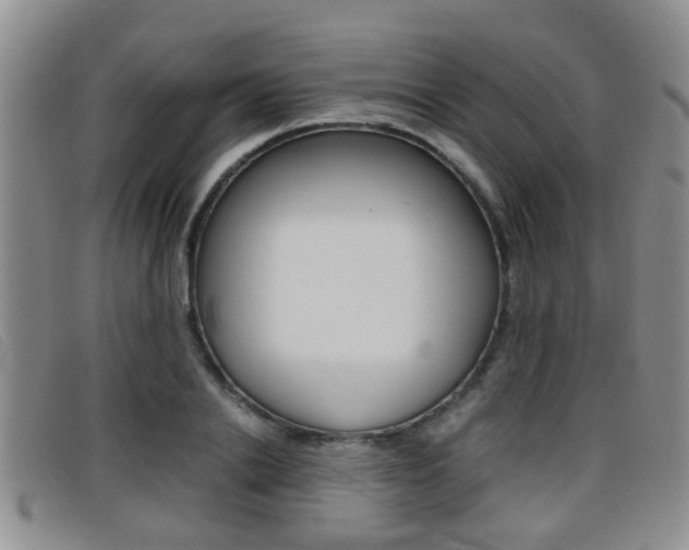 X0000096730838200802051127