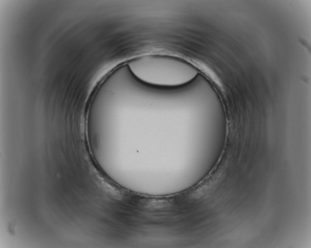 X0000096730839200802051127