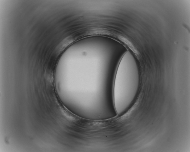 X0000096730841200802051127