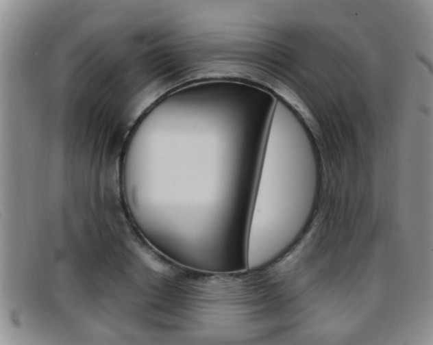 X0000096730842200802051127