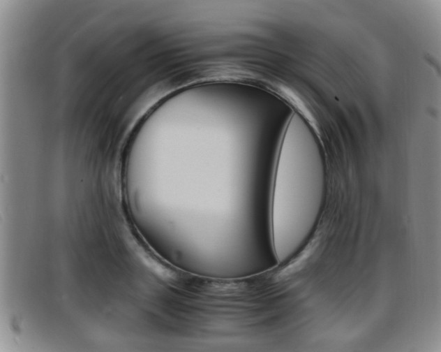 X0000096730843200802051127