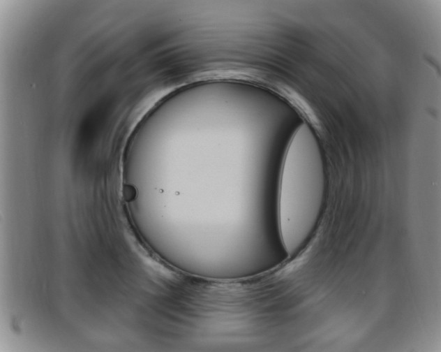 X0000096730844200802051127