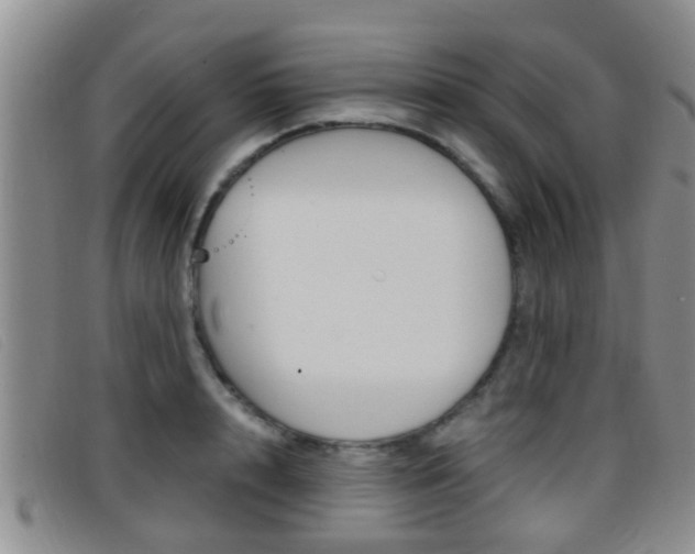 X0000096730848200802051127