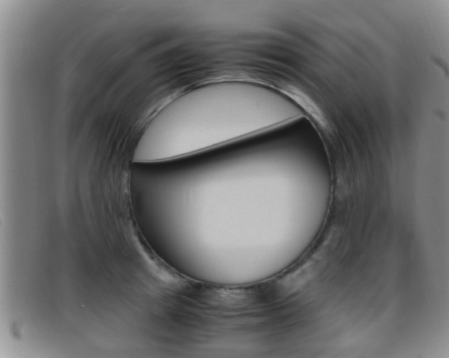 X0000096730849200802051127
