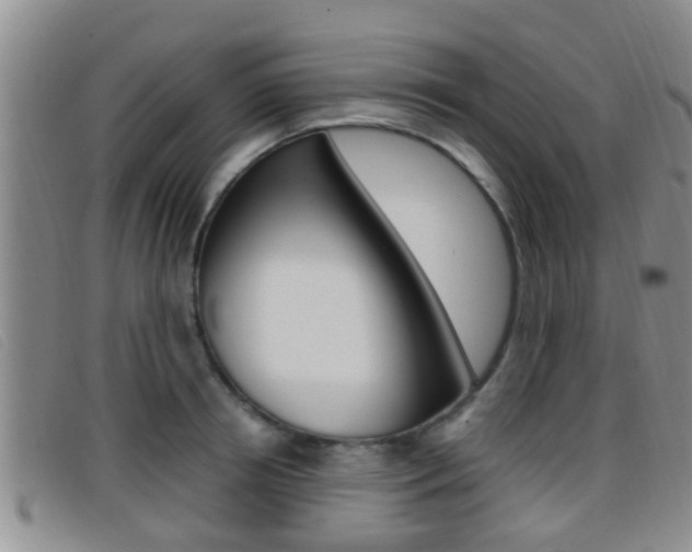 X0000096730850200802051127