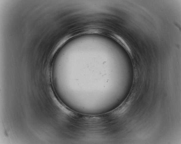 X0000096730851200802051127