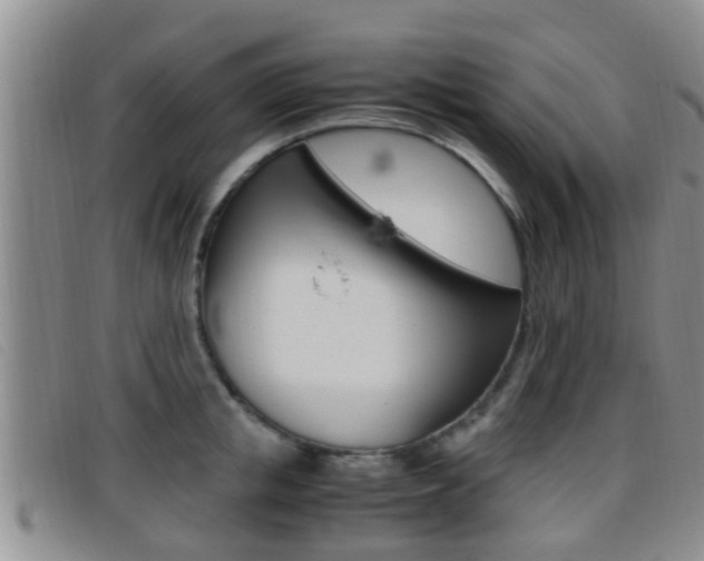 X0000096730853200802051127