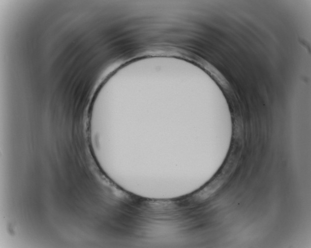 X0000096730856200802051127