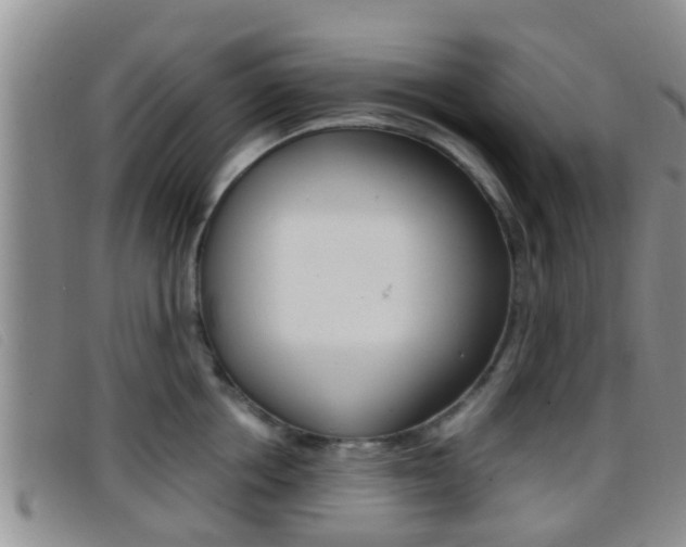 X0000096730858200802051127