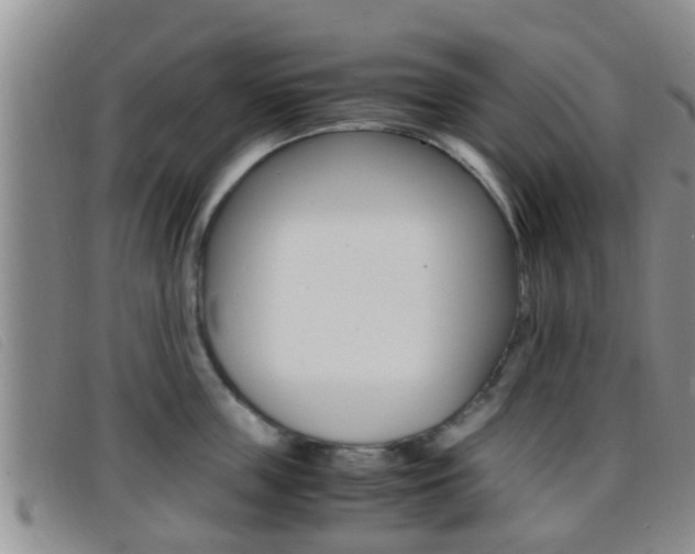 X0000096730859200802051127