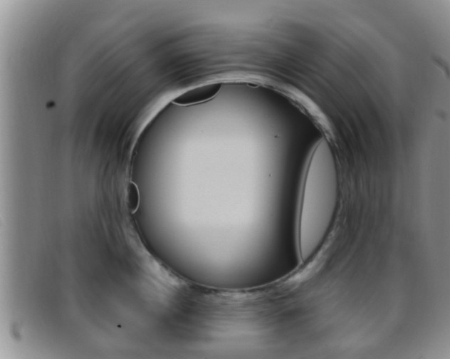X0000096730860200802051127