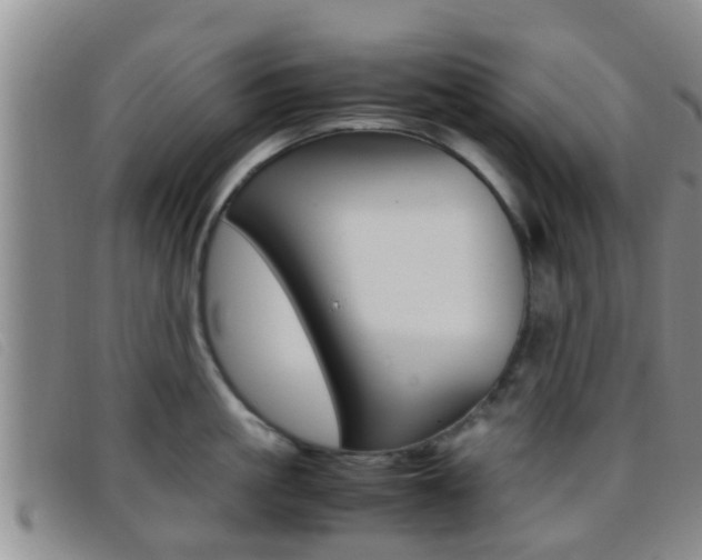 X0000096730861200802051127