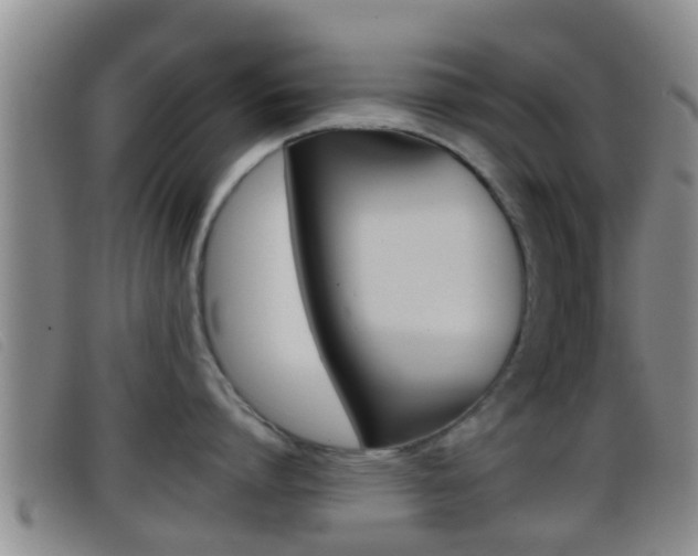 X0000096730864200802051127