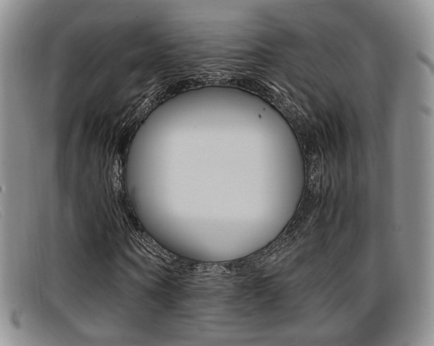 X0000096730866200802051126