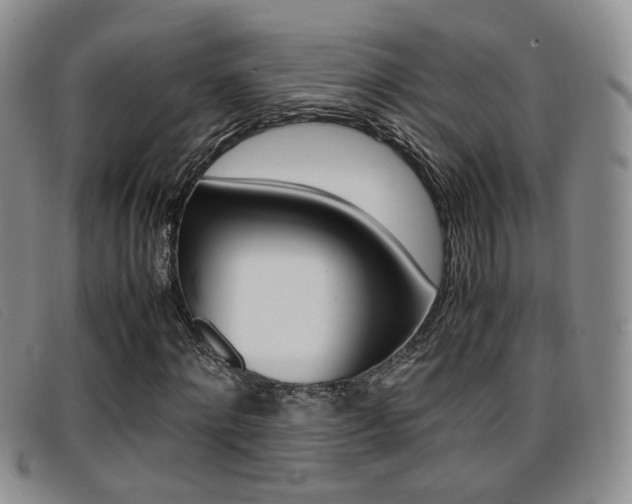 X0000096730868200802051126